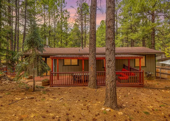 Pet Friendly Retreat In The Pines Minutes From Downtown Villa Flagstaff