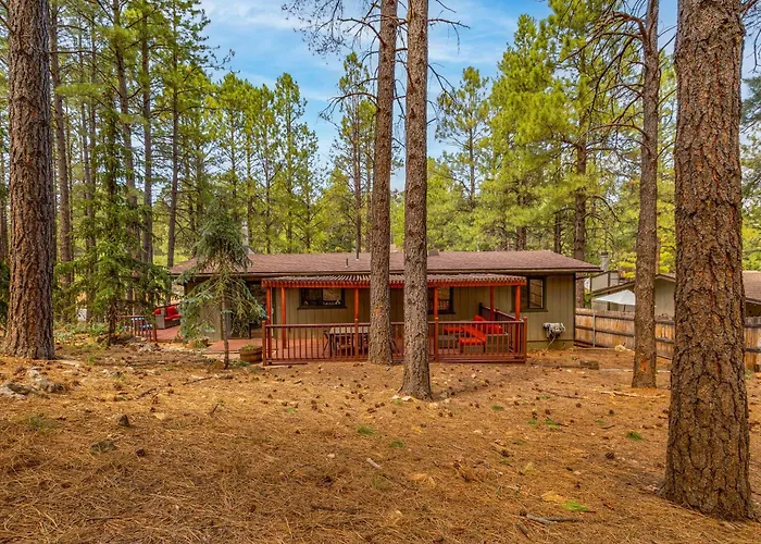 Pet Friendly Retreat In The Pines Minutes From Downtown Flagstaff